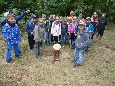 Foto des Albums: Waldfest