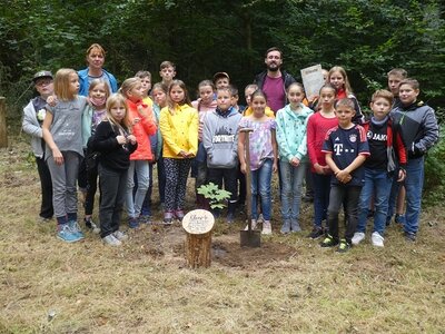 Foto des Albums: Waldfest