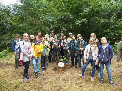 Foto des Albums: Waldfest