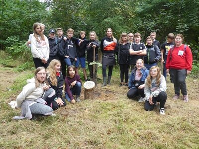 Foto des Albums: Waldfest