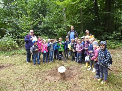 Foto des Albums: Waldfest