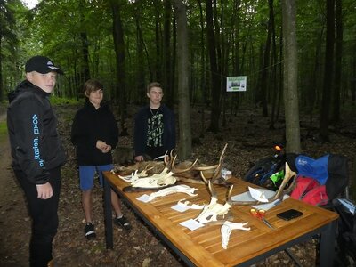 Foto des Albums: Waldfest