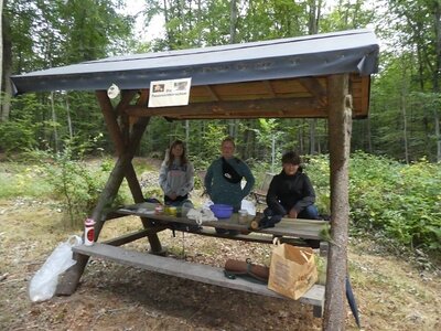 Foto des Albums: Waldfest