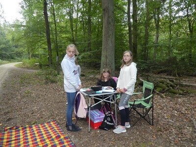 Foto des Albums: Waldfest