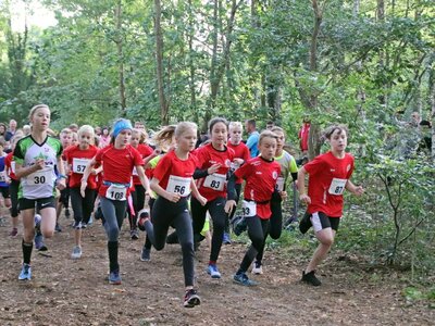 Foto des Albums: Ueckermünder Herbstcross