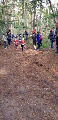 Foto des Albums: Ueckermünder Herbstcross