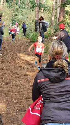 Foto des Albums: Ueckermünder Herbstcross