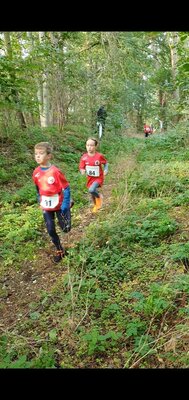 Foto des Albums: Ueckermünder Herbstcross