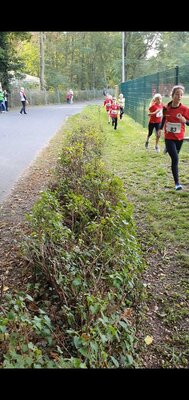 Foto des Albums: Ueckermünder Herbstcross
