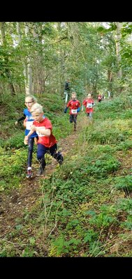 Foto des Albums: Ueckermünder Herbstcross