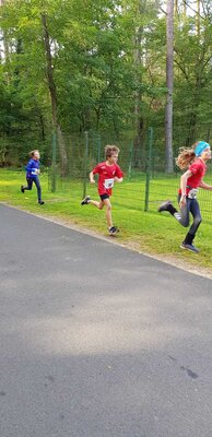 Foto des Albums: Ueckermünder Herbstcross