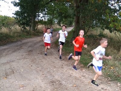 Foto des Albums: Crosslauf 08.10.2020