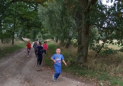 Foto des Albums: Crosslauf 08.10.2020