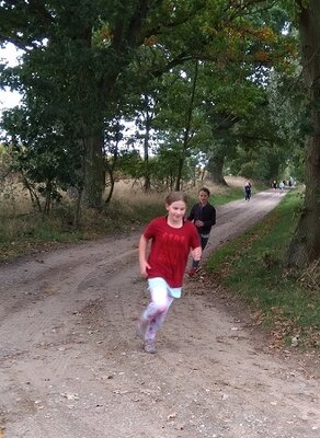 Foto des Albums: Crosslauf 08.10.2020