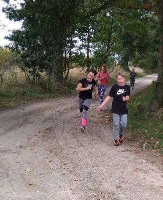 Foto des Albums: Crosslauf 08.10.2020