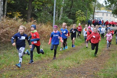 Foto des Albums: Karpiner Herbstcross