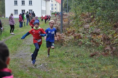 Foto des Albums: Karpiner Herbstcross