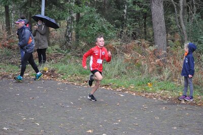 Foto des Albums: Karpiner Herbstcross