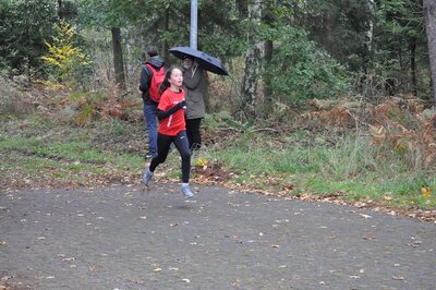Foto des Albums: Karpiner Herbstcross