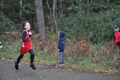 Foto des Albums: Karpiner Herbstcross