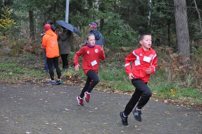 Foto des Albums: Karpiner Herbstcross