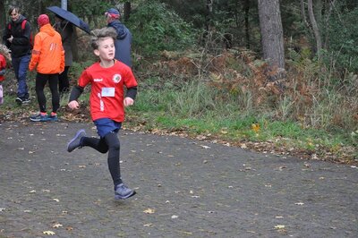 Foto des Albums: Karpiner Herbstcross