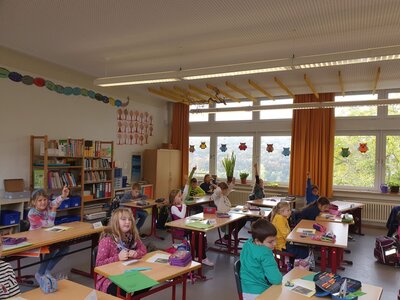 Foto des Albums: Klasse 2000 im Schuljahr 2020/21