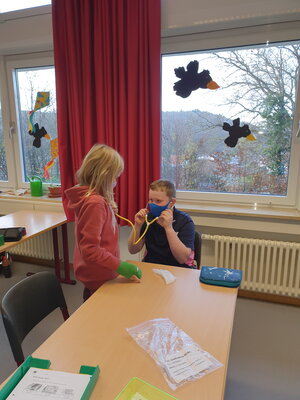 Foto des Albums: Klasse 2000 im Schuljahr 2020/21 - Der Weg des Blutes