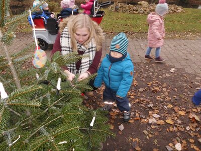 Foto des Albums: Weihnachtsbaum Sasslage (Kükengruppe)