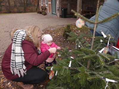 Foto des Albums: Weihnachtsbaum Sasslage (Kükengruppe)