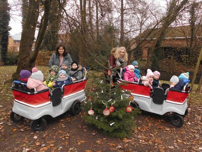 Foto des Albums: Weihnachtsbaum Sasslage (Kükengruppe)