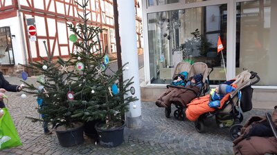 Foto des Albums: Unser Baumschmuck in der Innenstadt