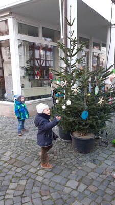 Foto des Albums: Unser Baumschmuck in der Innenstadt