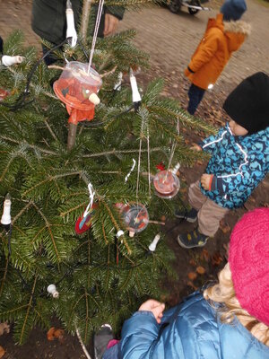 Foto des Albums: Weihnachtsbaum Sasslage (Käfergruppe)