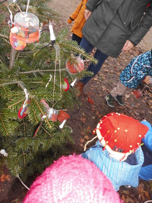 Foto des Albums: Weihnachtsbaum Sasslage (Käfergruppe)