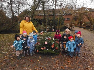 Foto des Albums: Weihnachtsbaum Sasslage (Käfergruppe)