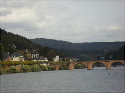 Foto des Albums: Jahresausflug nach Heidelberg