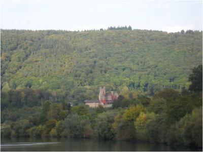 Foto des Albums: Jahresausflug nach Heidelberg