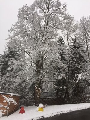 Foto des Albums: Winter im Sperkennest