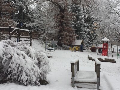 Foto des Albums: Winter im Sperkennest
