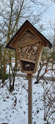 Foto des Albums: unser Garten