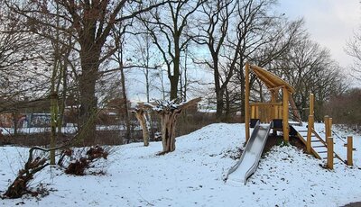 Foto des Albums: unser Garten