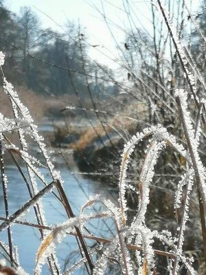 Foto des Albums: Winterspaziergang durch die Rolandstadt (15. 02. 2021)