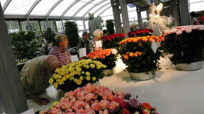 Foto des Albums: Berlin      IGA