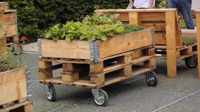 Foto des Albums: Berlin      IGA