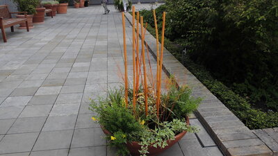 Foto des Albums: Berlin      IGA