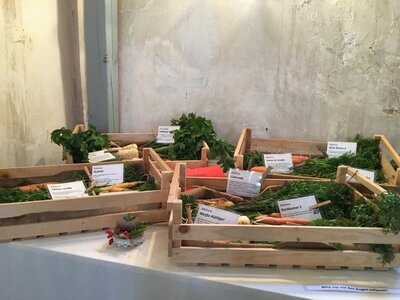 Foto des Albums: Obst-         Ausstellung
