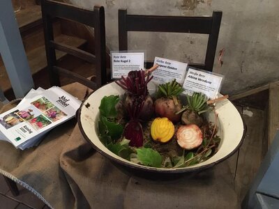 Foto des Albums: Obst-         Ausstellung