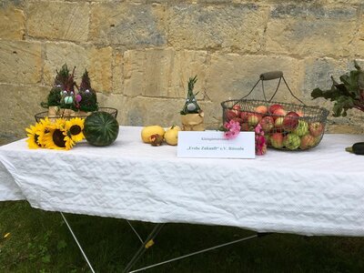 Foto des Albums: Obst-         Ausstellung