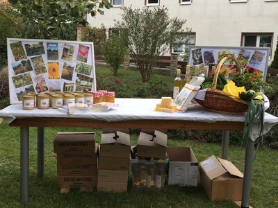 Foto des Albums: Obst-         Ausstellung